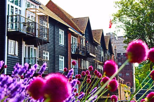 Beautiful Summer in Canterbury, England