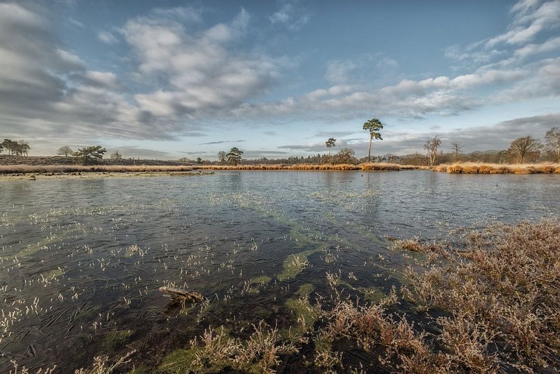 Overasselt and Hatertse Vennen by Moetwil en van Dijk - Fotografie