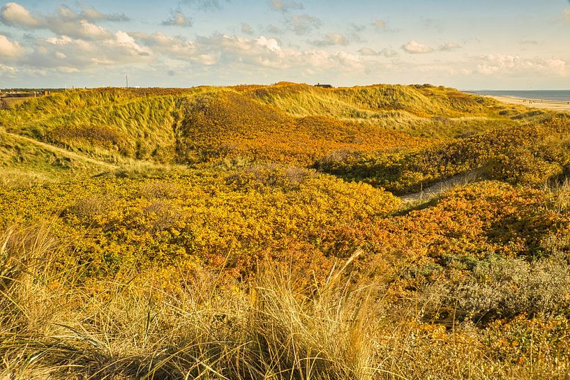 Blåvand Dünen Landschaft in Dänemark an der Nordsee von Martin Köbsch