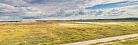 Paysage de dunes Hollande du Nord par eric van der eijk Aperçu