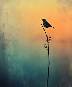 De Stilte van de Ochtend. Een Vogel op de Drempel van de Dageraad