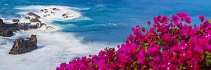 Atlantikküste, Teneriffa