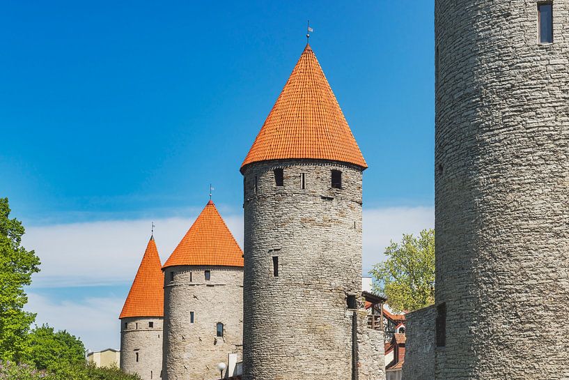 Tallinn, Estonia by Gunter Kirsch