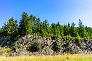 Forêt avec rochers dans la forêt de Thuringe sur Animaflora PicsStock