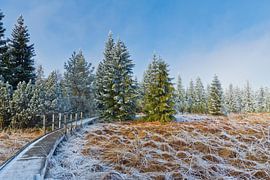 Wege zur Entspannung XV
