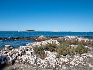 op het strand van Vrsar in Istrië Kroatië van Animaflora PicsStock