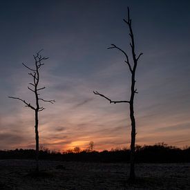 Dag word nacht van René Wolters