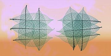 Modern graphic photo with skeleton leaves . by Saskia Dingemans Awarded Photographer