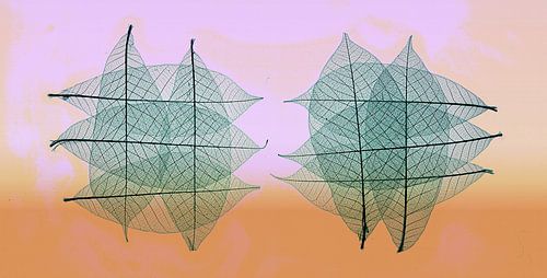Photo graphique moderne avec des feuilles de squelette .