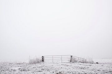 Hek in een bevroren winterlandschap in een weiland bij Kampen