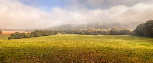 Mistig uitzicht op het Groote Bos bij Heijenrath in Zuid-Limburg 