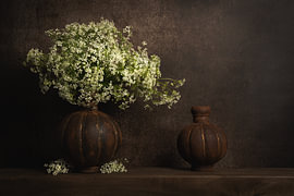 Modernes Stillleben mit Wiesen-Kornblume in klassischer Atmosphäre