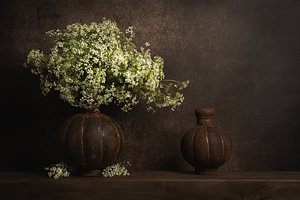 Nature morte moderne avec de la corydale dans une ambiance classique