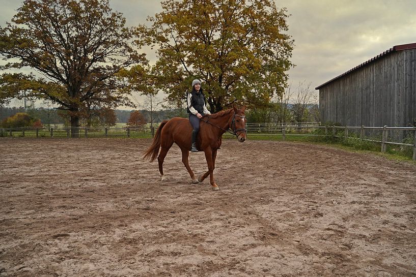 Training mit der rotbraunen Oldenburger Stute auf einem Reitplatz von Babetts Bildergalerie