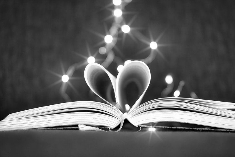 geöffneter Buch mit Seiten, zum Herz geschlagen von Martin Köbsch