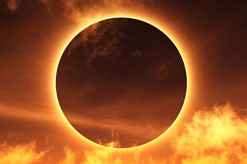 Total eclipse by Max Steinwald