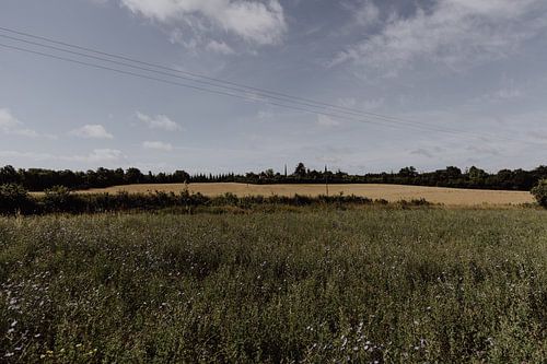 Uitzichten in de Lot, Frankrijk