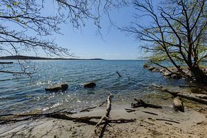 Am Ufer in der Goor, Insel Vilm, Lauterbach auf Rügen
