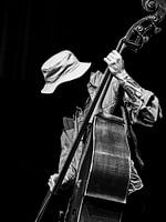 Jazz Bassist
