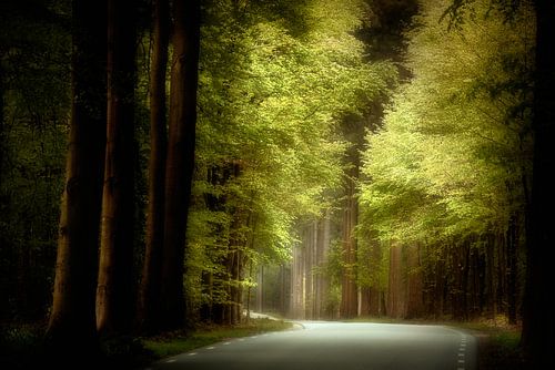 Bright Side Of The Road