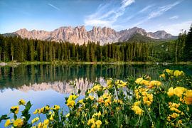 Beau lac de montagne dans les Dolomites avec des fleurs alpines en fleur sur Voss photographie