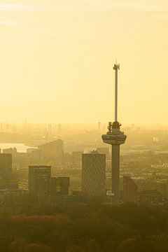 Euromast in Rotterdam tijdens zonsondergang over de stad