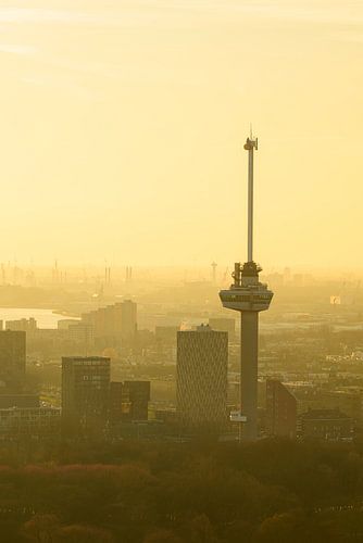 Euromast in Rotterdam tijdens zonsondergang over de stad