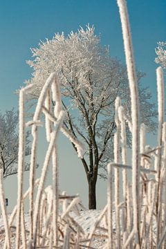 Winter in Marken-binnen van Sjaak van Etten
