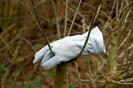 handschoenen, verloren, vergeten