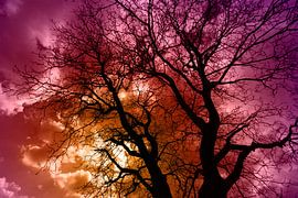 Baum mit bedrohlichen Wolken von True Nature Art