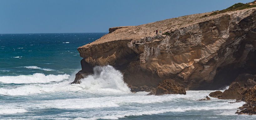 Visserman par Donald Willemsen