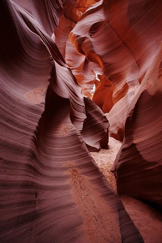 de geheimen van de natuur III