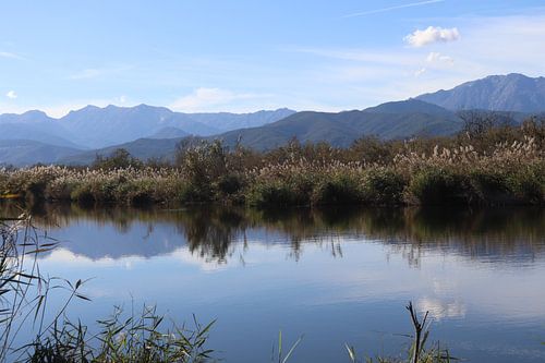 Etang Graduni Korsika