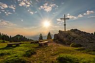 Bear heads in the Allgäu region by MindScape Photography thumbnail