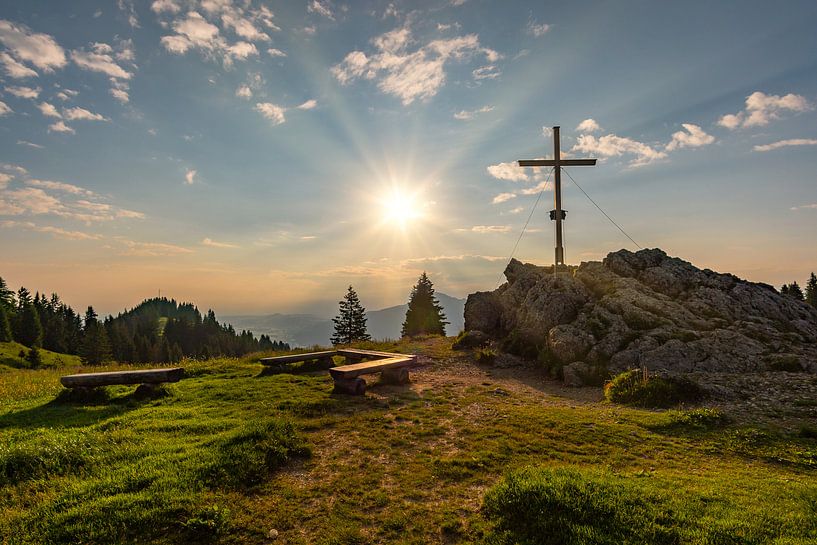 Bear heads in the Allgäu region by MindScape Photography
