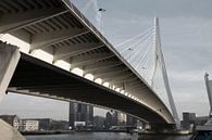 Erasmusbrug Rotterdam van Tim Vlielander thumbnail