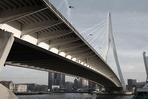 Erasmusbrug Rotterdam