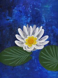 Water lily by Nelleke Bruno