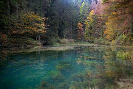 Quelle des Flusses Dobra von René Pronk