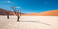 Deadvlei