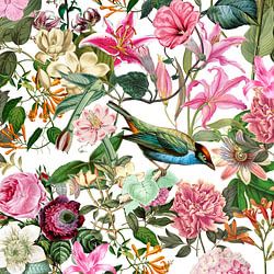 Botanische Bilder & Poster