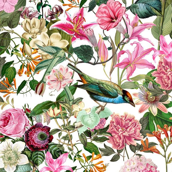 Zomertuin van Andrea Haase