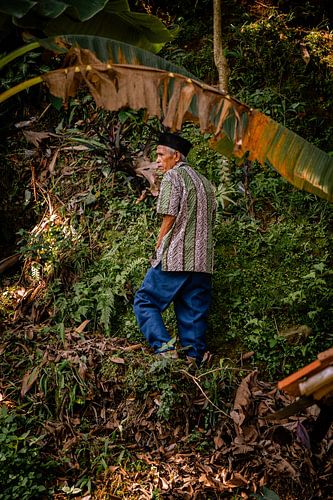 A View over the Kampoeng