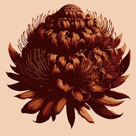 Fireflower by Jansje Kamphuis