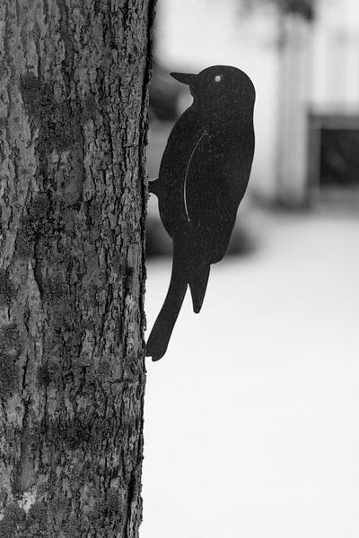 Pic de fer par Jim Plaum