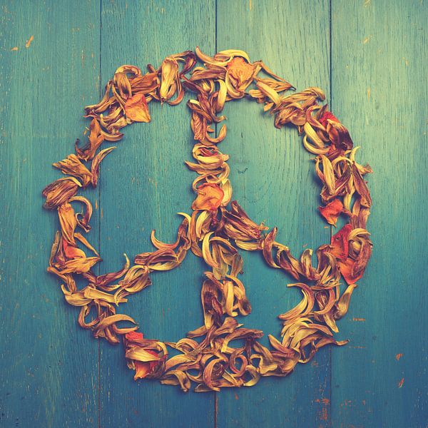 Peace sign of dried tulips petals on blue rustic wood von Andreas Berheide Photography
