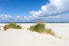 Terschelling by Edwin Kooren