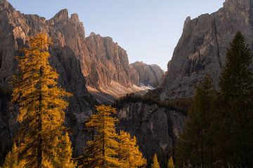 Bäume und Felsen von Martin Podt