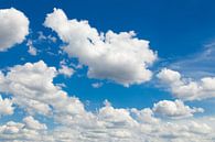 Blauer Himmel mit weißen Schafe Wolken von Ben Schonewille Miniaturansicht