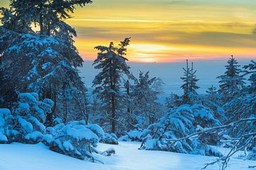 Sonnenuntergang über dem verschneiten Schwarzwald von André Post